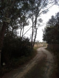 Tero Hyppölä Mallorca 2/2016