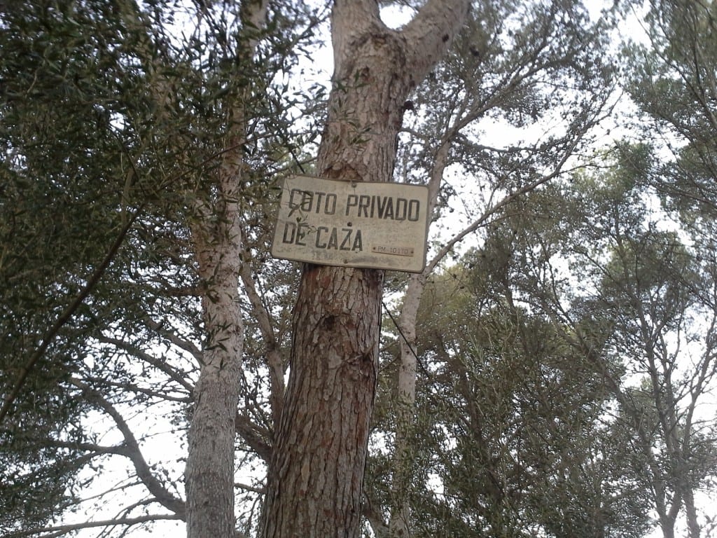 Tero Hyppälä Mallorca 2/2016