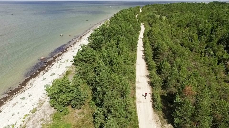 Kangelasjooks