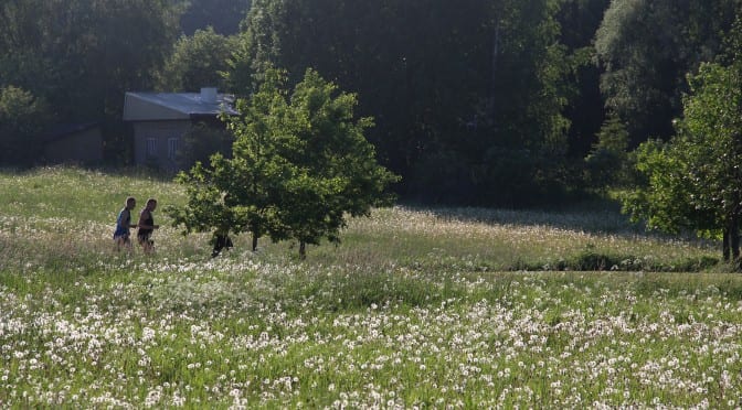 44. Suomi-Juoksu 100 km 6.-7.6.2015 Perniössä