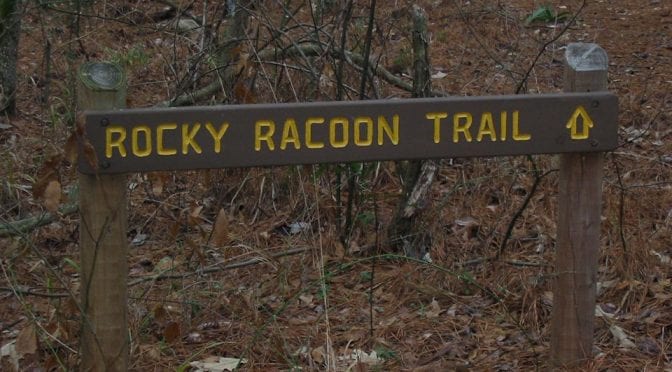 Rocky_Raccoon