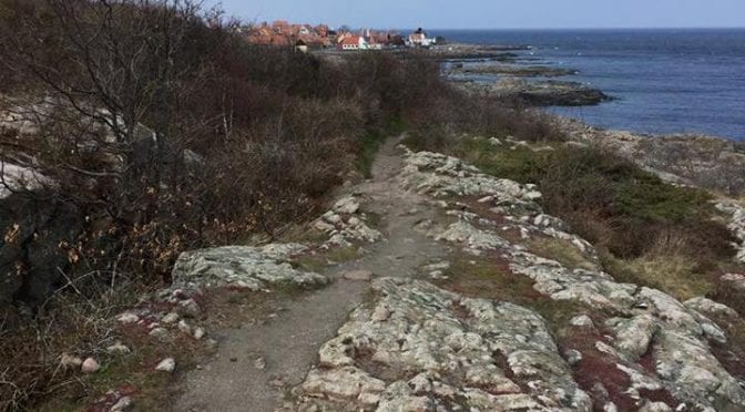 Fyr_til_fyr_2017