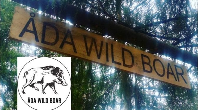 Åda Wild Boar Trail 2017