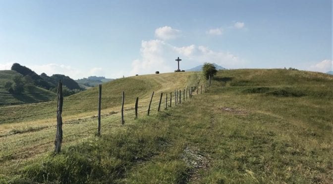 Durona Trail 2017