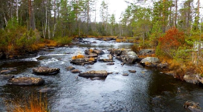 Romeriksåsen på langs 2017