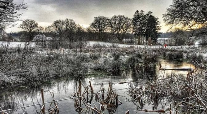 Fussingø Trail 2017