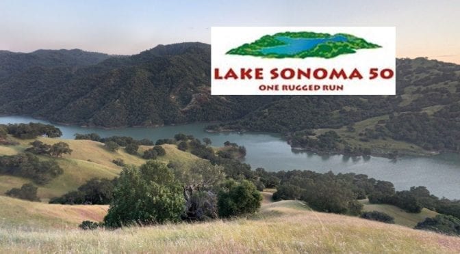 Lake_Sonoma_cover