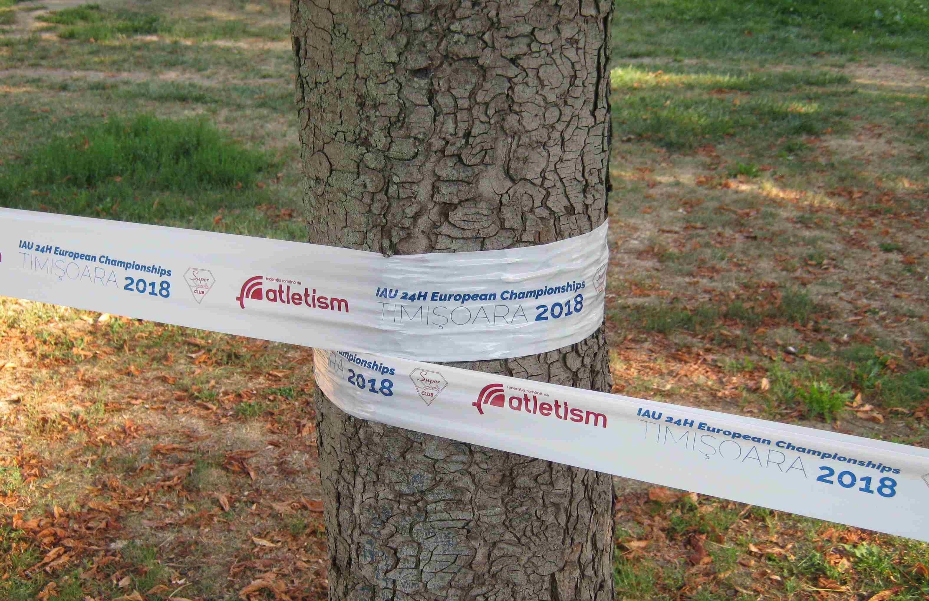 Timisoara route marking