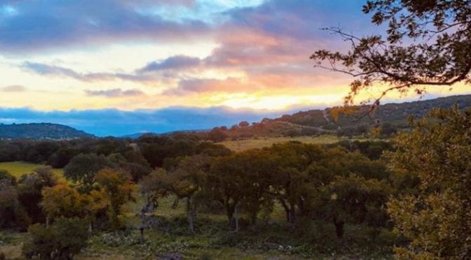 Bandera Trail Run 2019