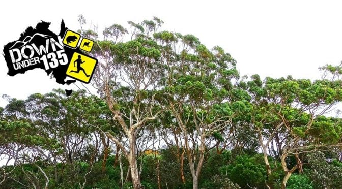 DownUnder135_cover