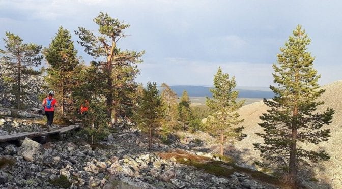 NUTS Ylläs Pallas 2022