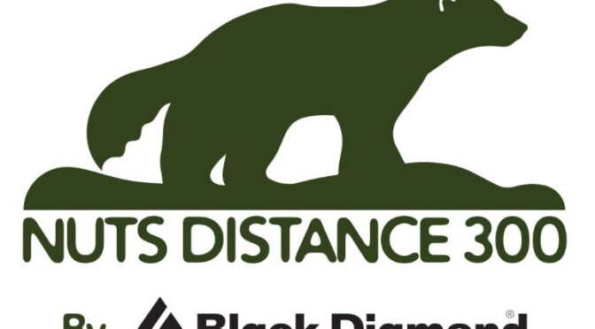 nuts300